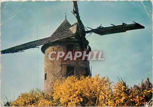 Cartes postales moderne Vieux Moulin dans la lande Bretonne