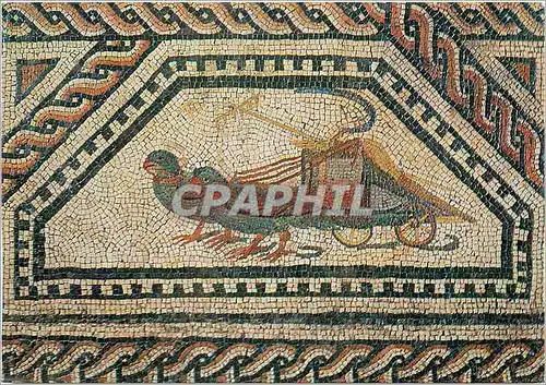 Cartes postales moderne Aufnahme Michael Jeiter Deutschar Kunstverlag Munchen Berlin