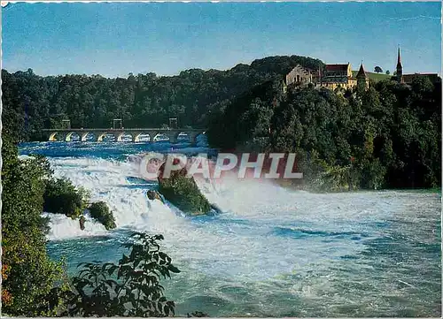 Cartes postales moderne Rheinfall (Schweiz) Totale Hoche des falles 21 m