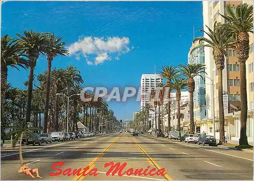 Cartes postales moderne Santa Monica