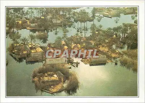 Cartes postales moderne Irak Les Maadans Habitants des marais