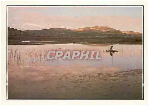 Cartes postales moderne Peru L'Altiplano le Lac Ttiticaca