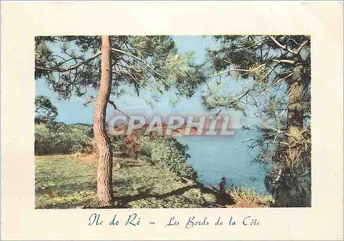 Cartes postales moderne Ile de Re Les Bords de la Cote