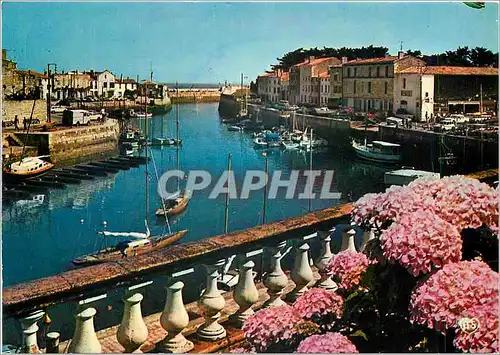 Cartes postales moderne Ile de Re (Ch Mme) Saint Martin de Re Le Port