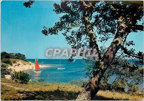 Cartes postales moderne Ile de Re Pointe de Troussechemise a l'entree du Foer d'Ars