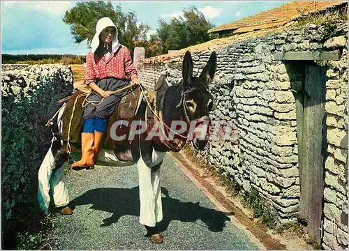 Moderne Karte Ile de Re ane en culotte Folklore