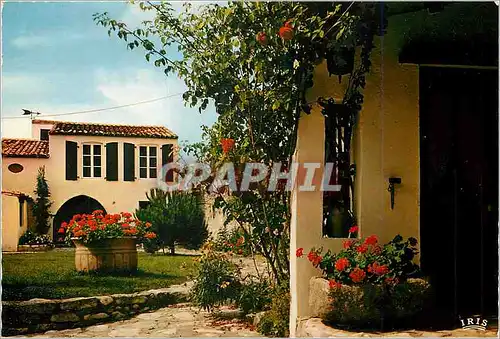 Cartes postales moderne Ile de Re La Couarde Maison Fleurie