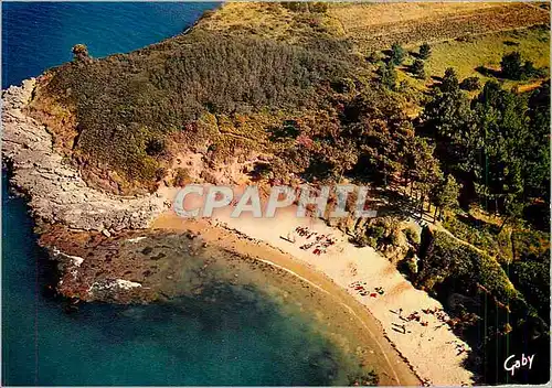 Cartes postales moderne La France vue du ciel Ile d'Aix (Chte Mme) La Bale du Sable jaune site Sable d'Or