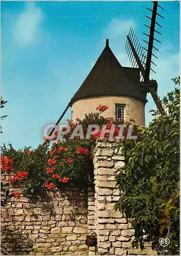 Cartes postales moderne Ile de Re Moulin du Morinnand