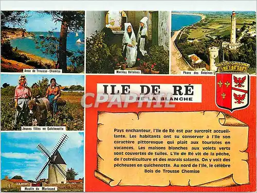 Cartes postales moderne Ile de Re