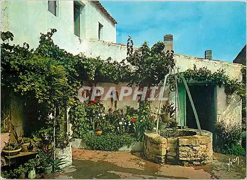 Cartes postales moderne Charente Mme cour Fleurie d'une coquette maison charetaise