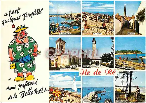 Cartes postales moderne Ile de Re (Chte Mme)