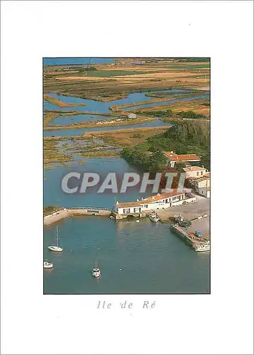 Cartes postales moderne Ile de Re (Chte Mme) Loix en Re le Port