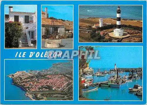 Cartes postales moderne Ile d'Oleron (Ch Mme)