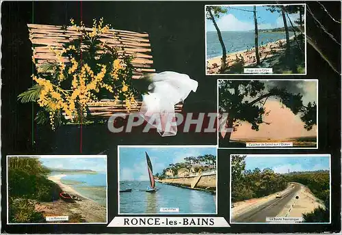 Cartes postales moderne Ronce les Bains Plage de la Cepe Coucher de soleil Les villas