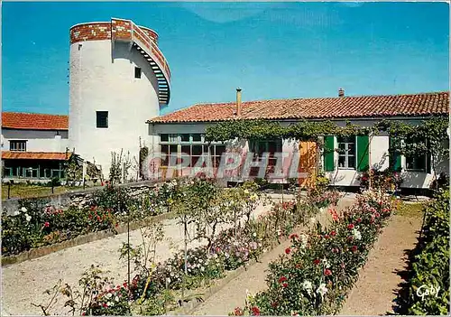 Cartes postales moderne Ile de Re (Chte Mme) Loix Maison et jardin Fleuris