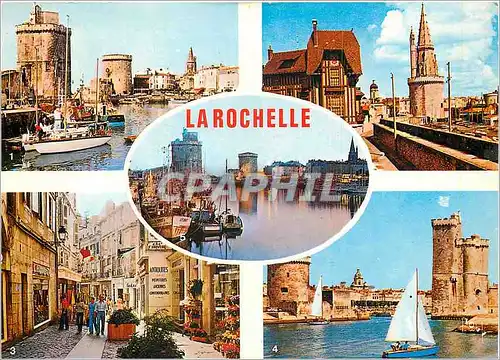 Cartes postales moderne La Rochelle (Chte Mme) Le Port La Tour des 4 sergnet les Remparts et la Maison du Chat