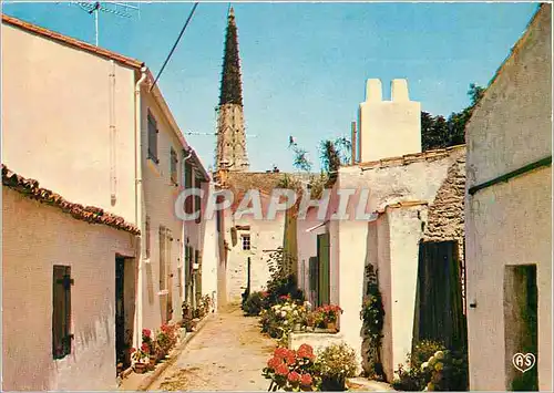 Cartes postales moderne Ile de Re (Chte Mme) Ars en Re Une jolie venenlle en Fleurs