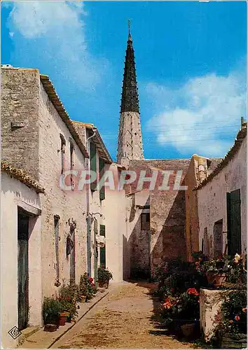 Cartes postales moderne Ars en Re Ile de Re (Chte Mme) Ruelle Fleurie