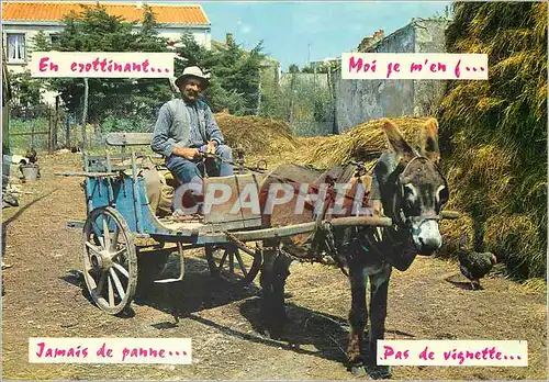 Cartes postales moderne Jamais la panne Ane Mule
