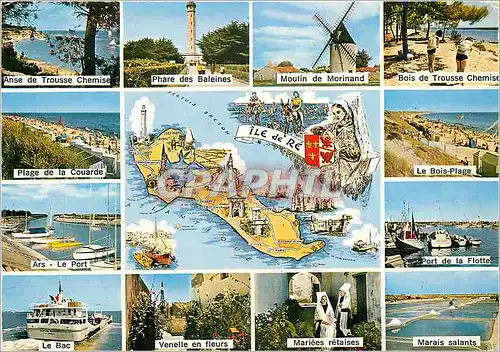 Cartes postales moderne Ile de Re (Chte Mme) Phare des baleines Bois de Trousse Chemise