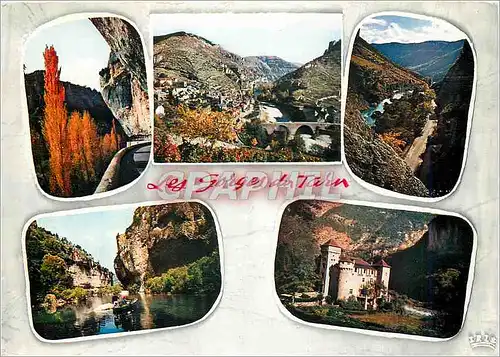 Cartes postales moderne Gorges du Tarn L'encorbellemeent des Rochers Sainte Enimie Pres des Vignes les Detroits