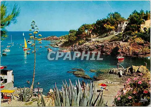 Cartes postales moderne La Cote d'Azur Varoise Les Calanques des Issambres (Var) Une Plage