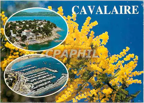 Cartes postales moderne Cote Varoise Souvenir de Cavalaire