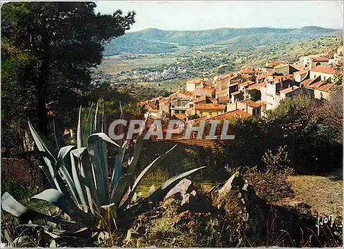 Cartes postales moderne La Cote d'Azur miracle de la nature Bormes les Mimosas (Var)