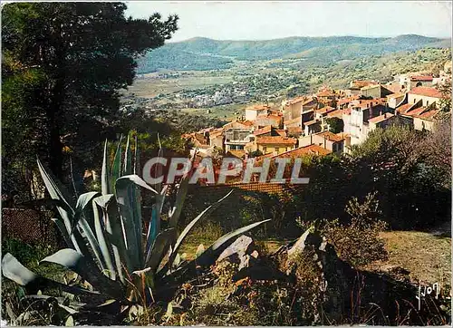 Moderne Karte La Cote d'Azur miracle de la nature Bormes les Mimosas (Var)