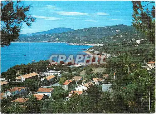 Moderne Karte San Peire vu a travers les pins