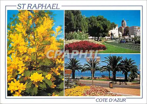 Cartes postales moderne La Cote d'Azur St Raphael (Var)
