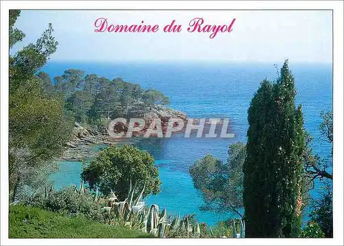 Cartes postales moderne Souvenir de Bandol Le Domaine du Rayol