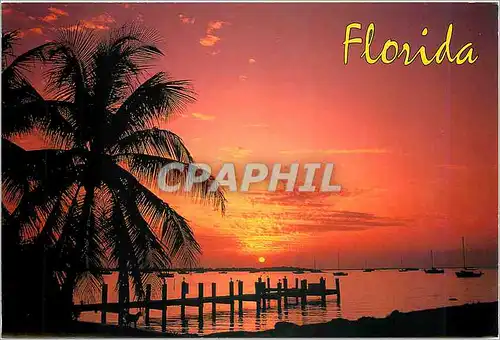 Moderne Karte Florida Atropical splendor as the sun over Florida Waters