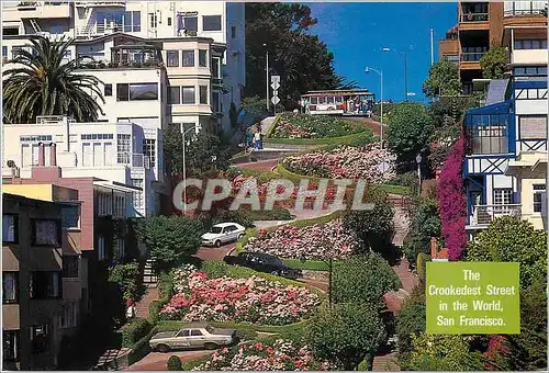 Moderne Karte San Francisco Colorful Hydrangeas line Lombard Street