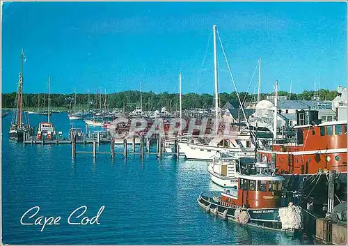 Cartes postales moderne Cape Cod