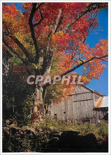 Cartes postales moderne Vermont