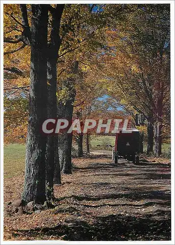 Cartes postales moderne Vermont