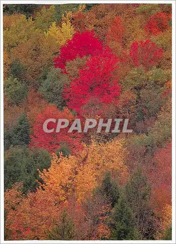 Cartes postales moderne Vermont