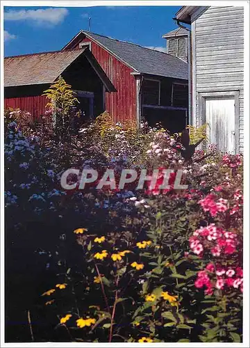 Cartes postales moderne Vermont