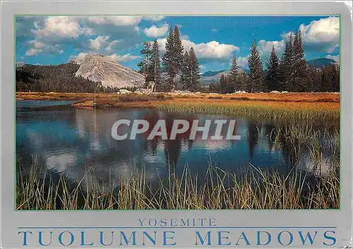 Cartes postales moderne Yosemite Tuolumne Meadows