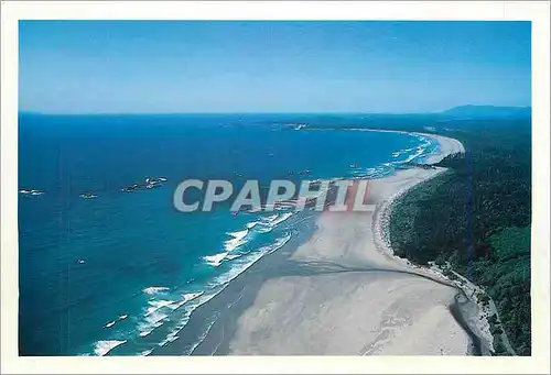 Cartes postales moderne Greenpoint Pacific Rim National Park