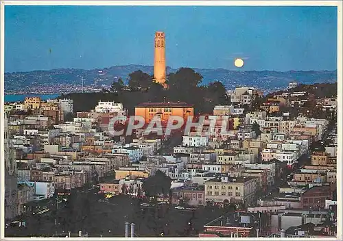 Cartes postales moderne Majestic coit Tower