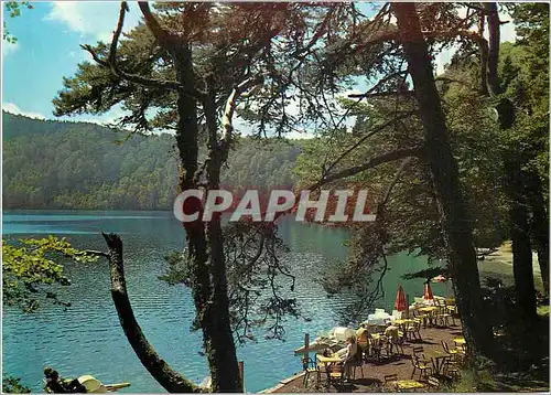 Cartes postales moderne L'Auvergne touristique Le Lac Pavin Superficie