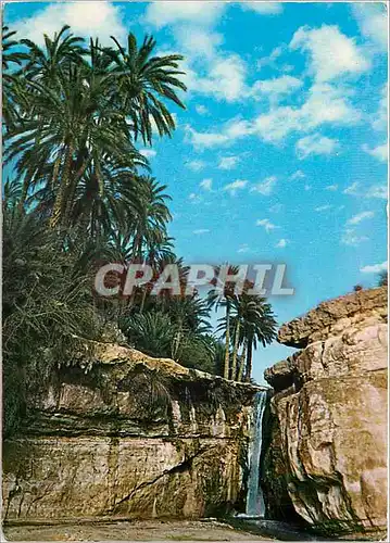 Cartes postales moderne Tamerza Oasis de montagne