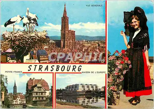 Cartes postales moderne Strasbourg Maison de l'Europe (Alsace) Metropole alsacienne