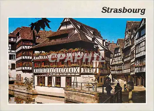 Moderne Karte Strasbourg (Bas Rhin) La Rue du Bain aux Plantes