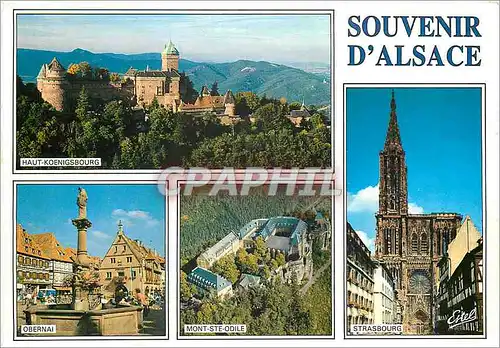 Cartes postales moderne L'Alsace Pittoresque Colmar La petite Verrise