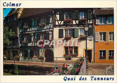 Cartes postales moderne Colmar (Haut Rhin) Le Quai des Tanneurs