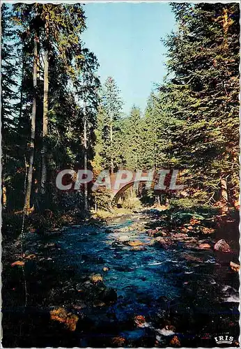 Cartes postales moderne Gerardmer (Vosges) Pont des Fees